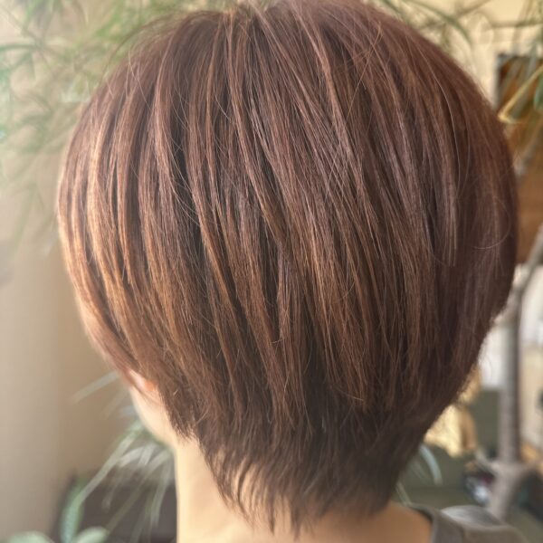 NEW カラー　始めました！
